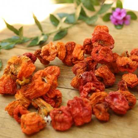 TFG Dried Red Pepper - 2021 Corp 40-45 Pieces