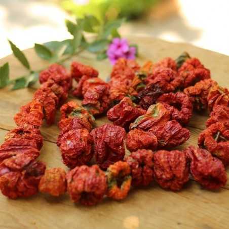 Ready To Coock - Dried Red Pepper - 2021 Corp - 45-50 pieces